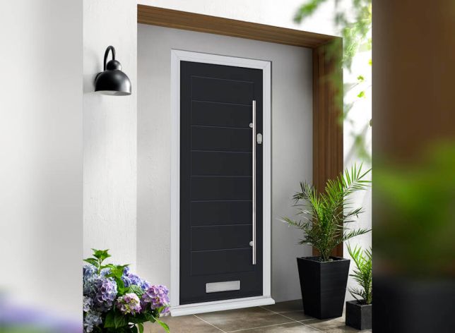 Monza Black Contemporary Door